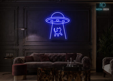 Spaceship-taking-Cat