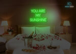You are my Sunshine Neon SIgn Green