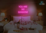 You are my Sunshine Neon SIgn Hot-Pink