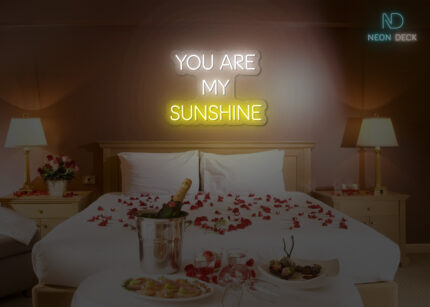 You are my Sunshine Neon SIgn Multi
