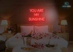 You are my Sunshine Neon SIgn Red